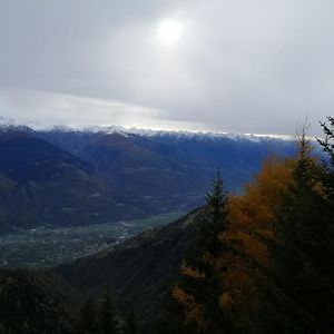 Hotel Albrici